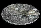 Round Fossil Goniatite Dish #73718-2